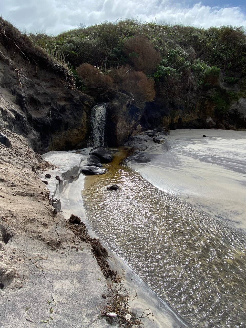 Vertical photo