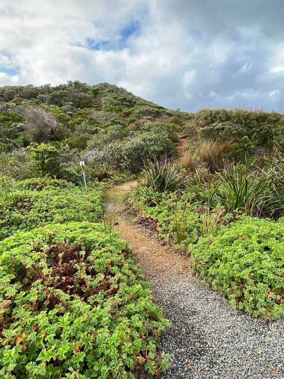 Sunset Cliffs Natural Park