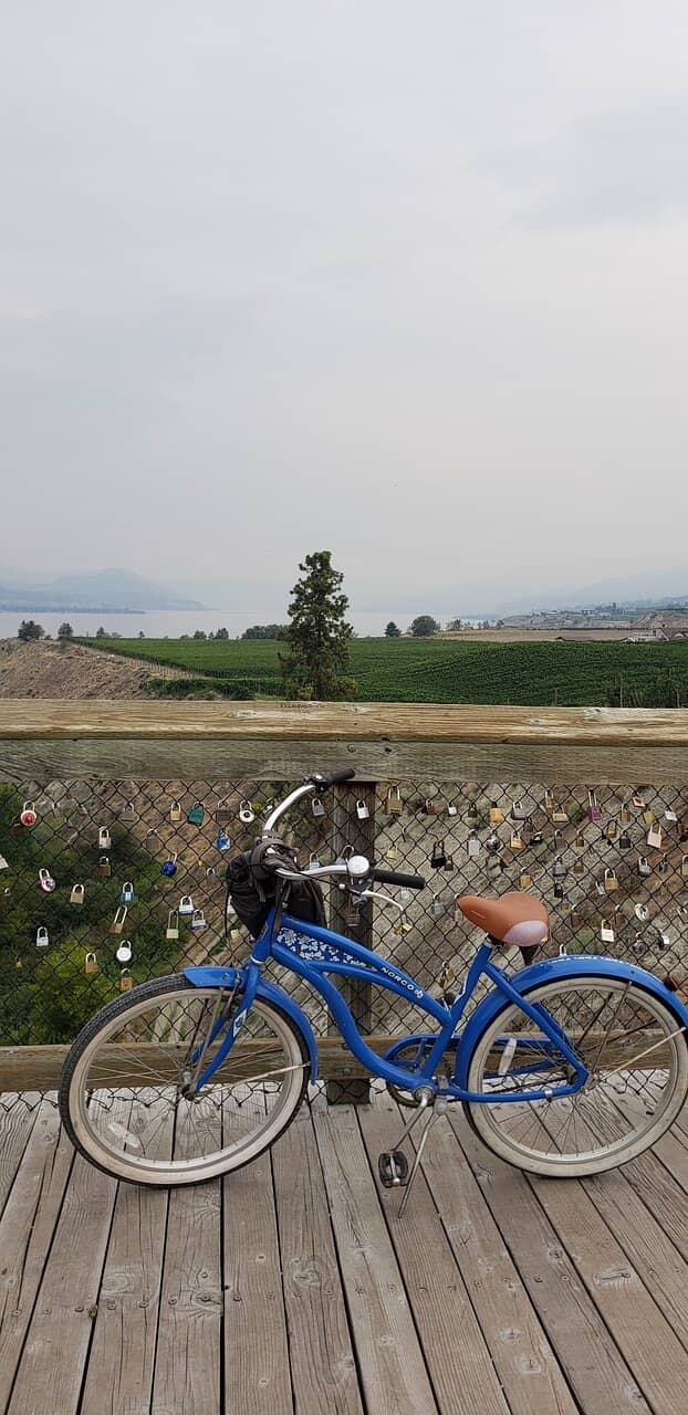 Little Tunnel Lookout