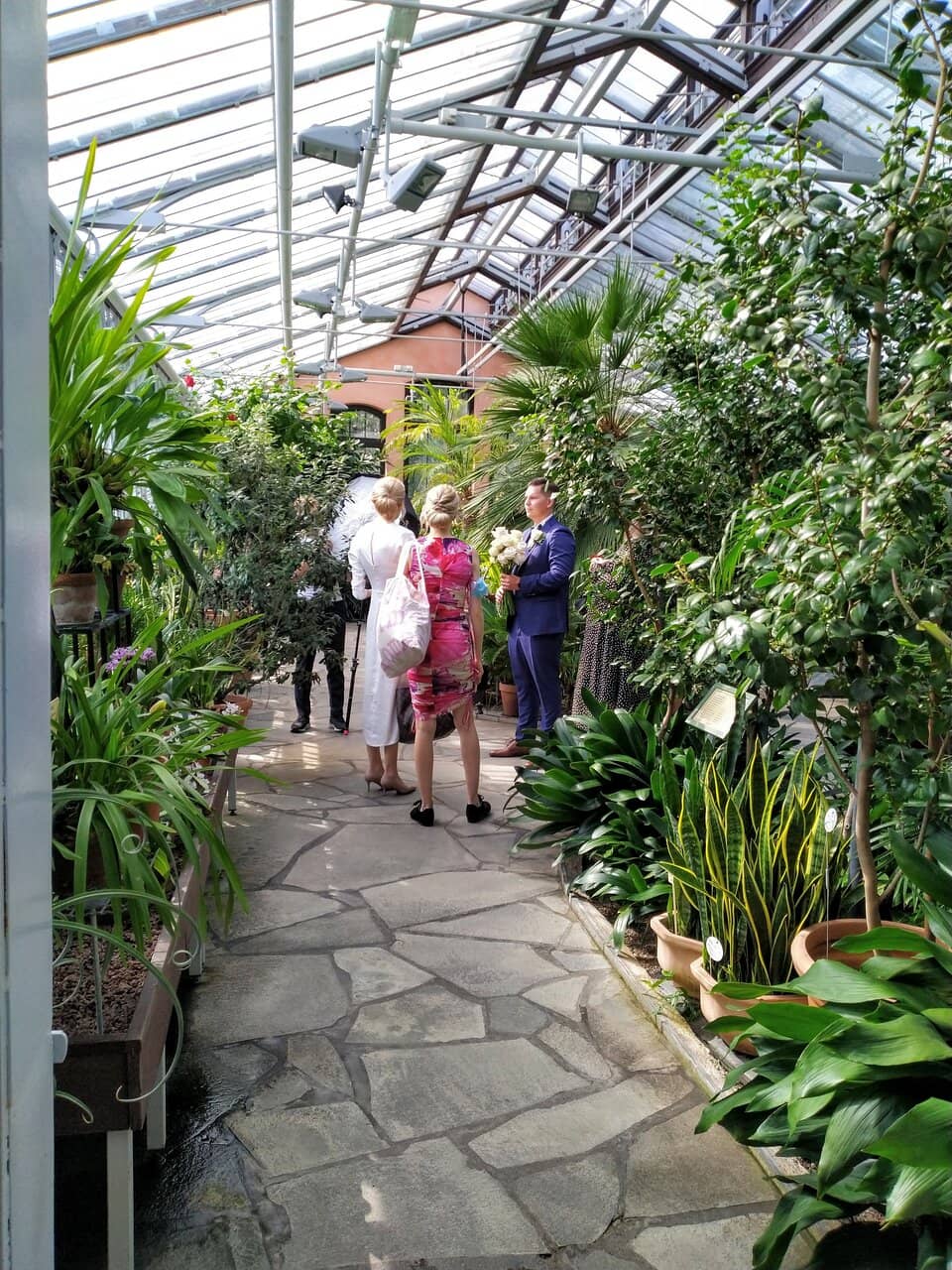 The Rose Garden
