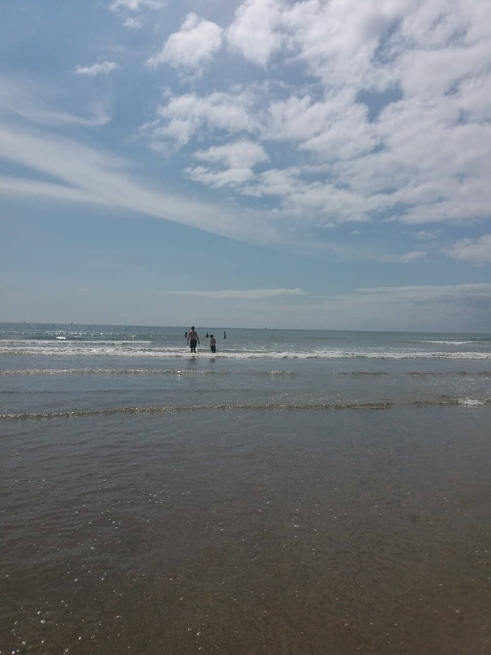 Tidal Pools & Marine Life