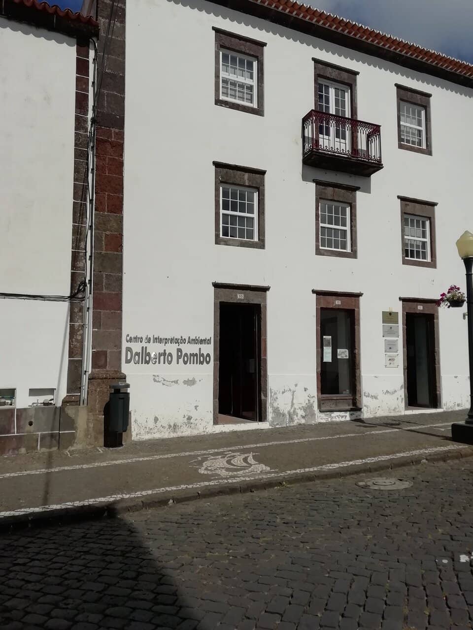 Fossil and Taxidermy Exhibits