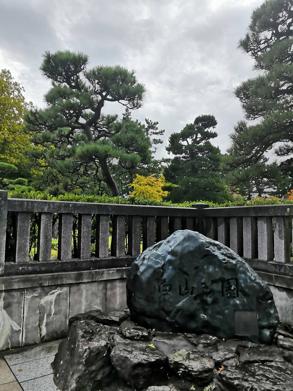 Autumn Foliage