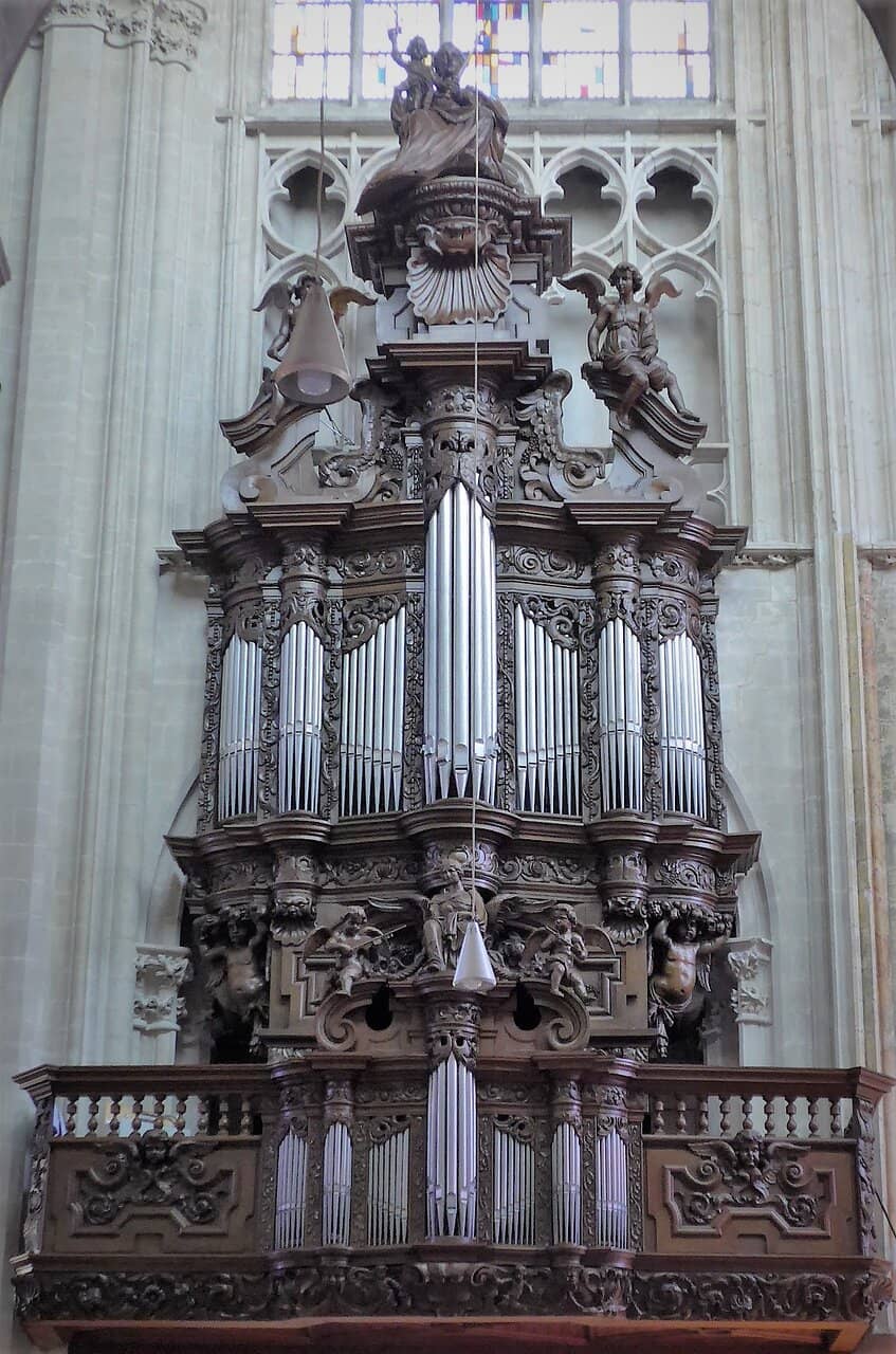 Vertical photo