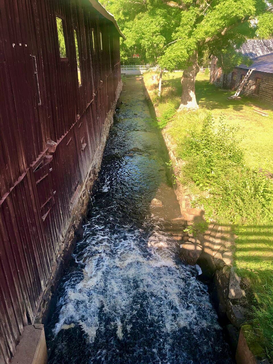 Locally Sourced Lunch Buffet