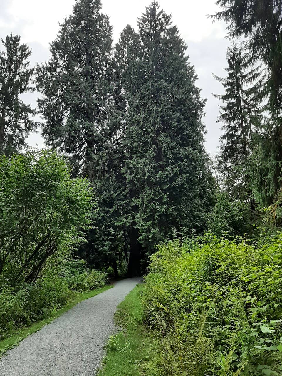 Off-Leash Dog Areas