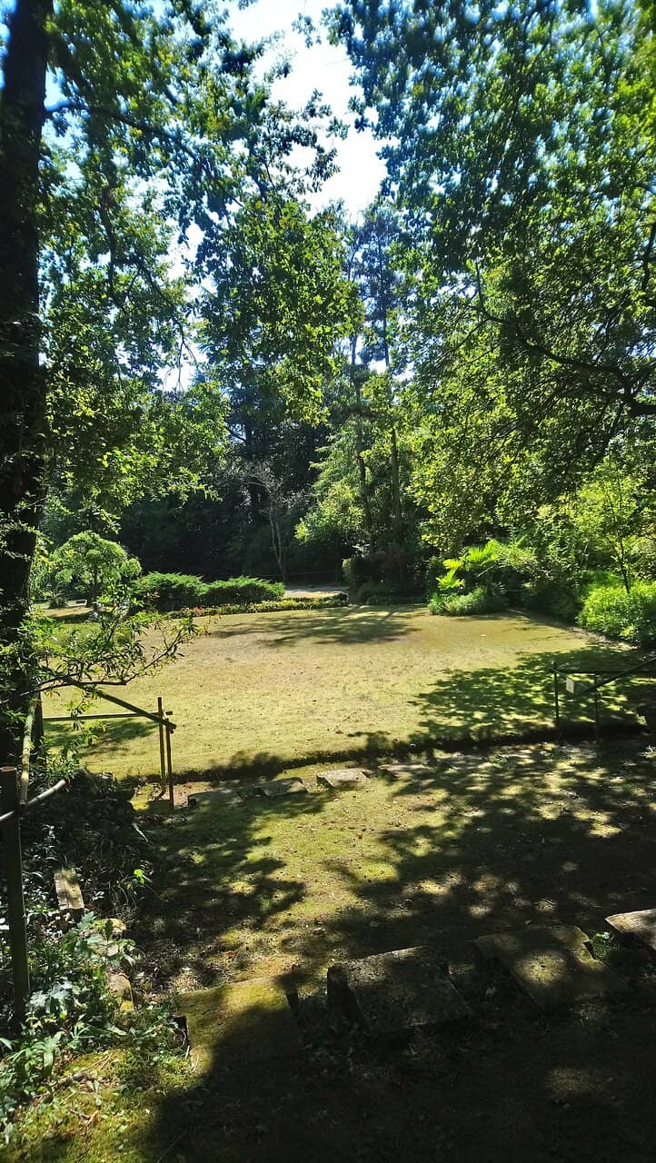 Peaceful Strolls