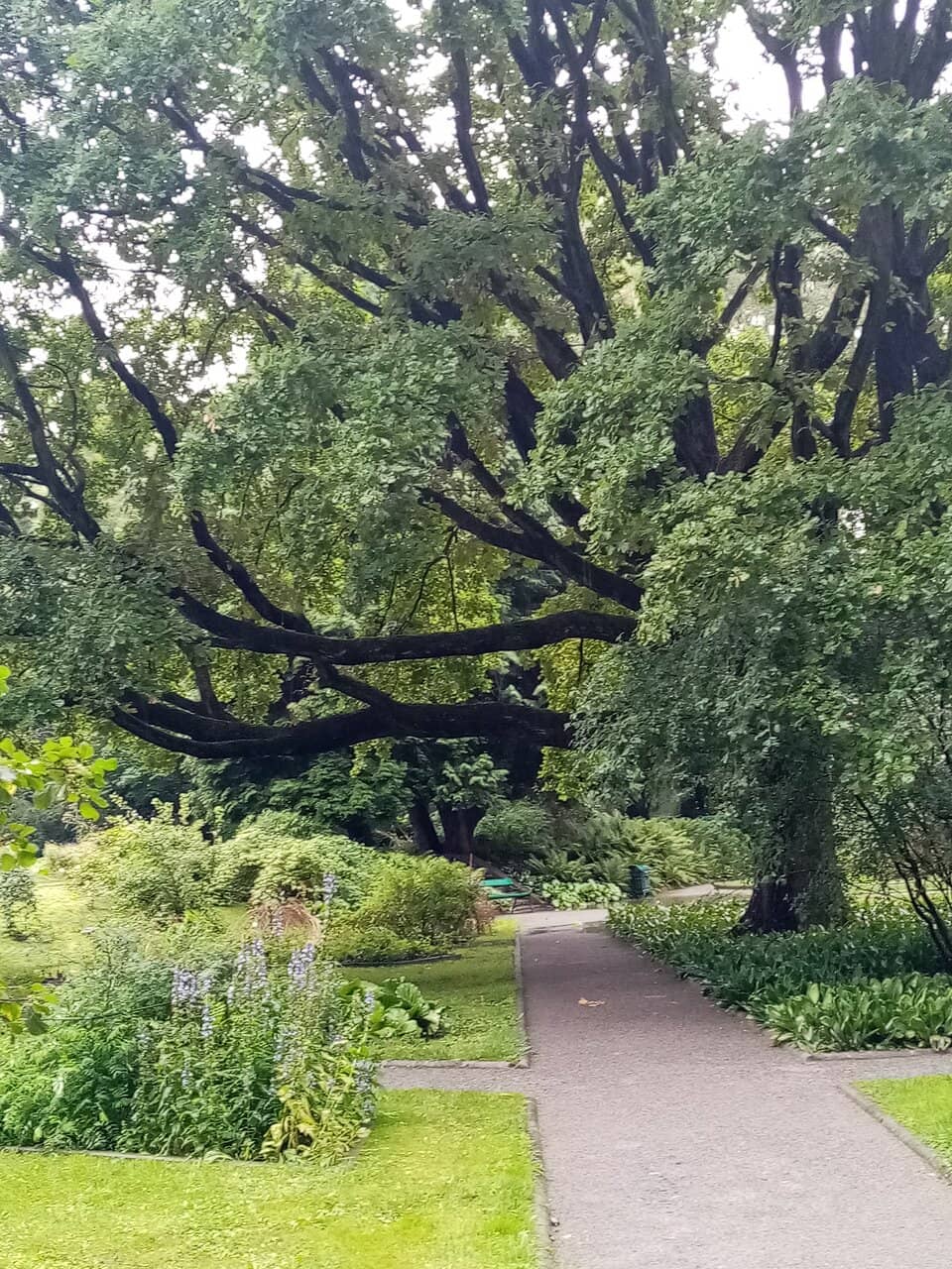 Monet-esque Landscapes