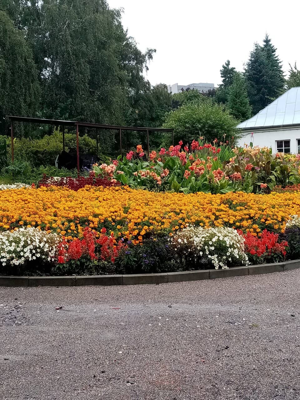 Vibrant Flower Displays