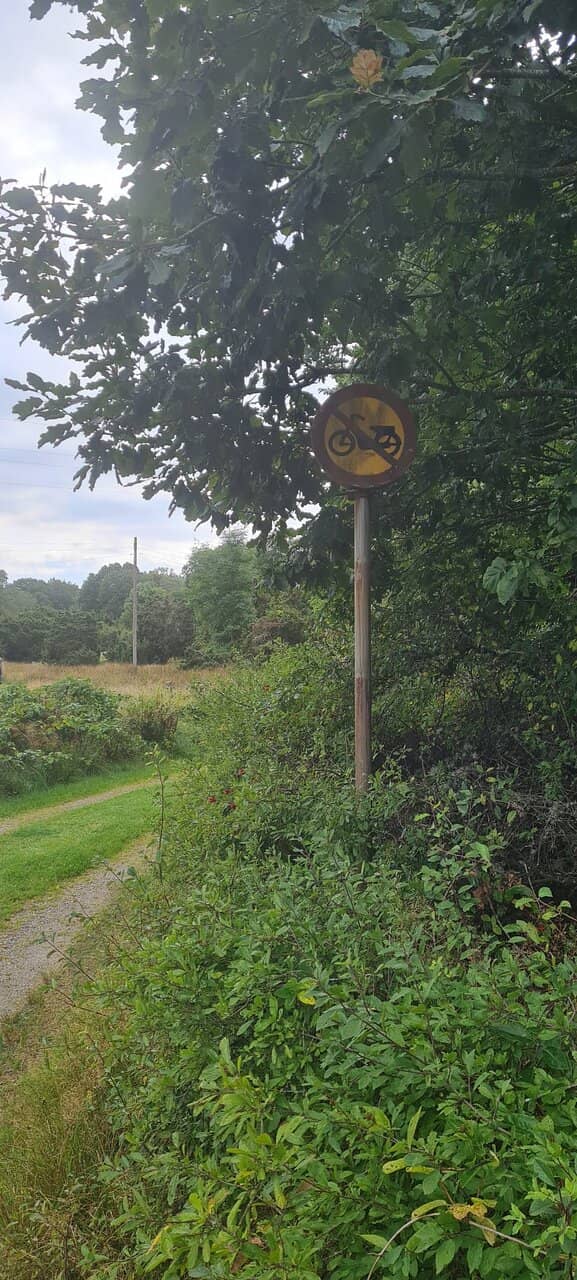 Enthusiast Swimming Spot