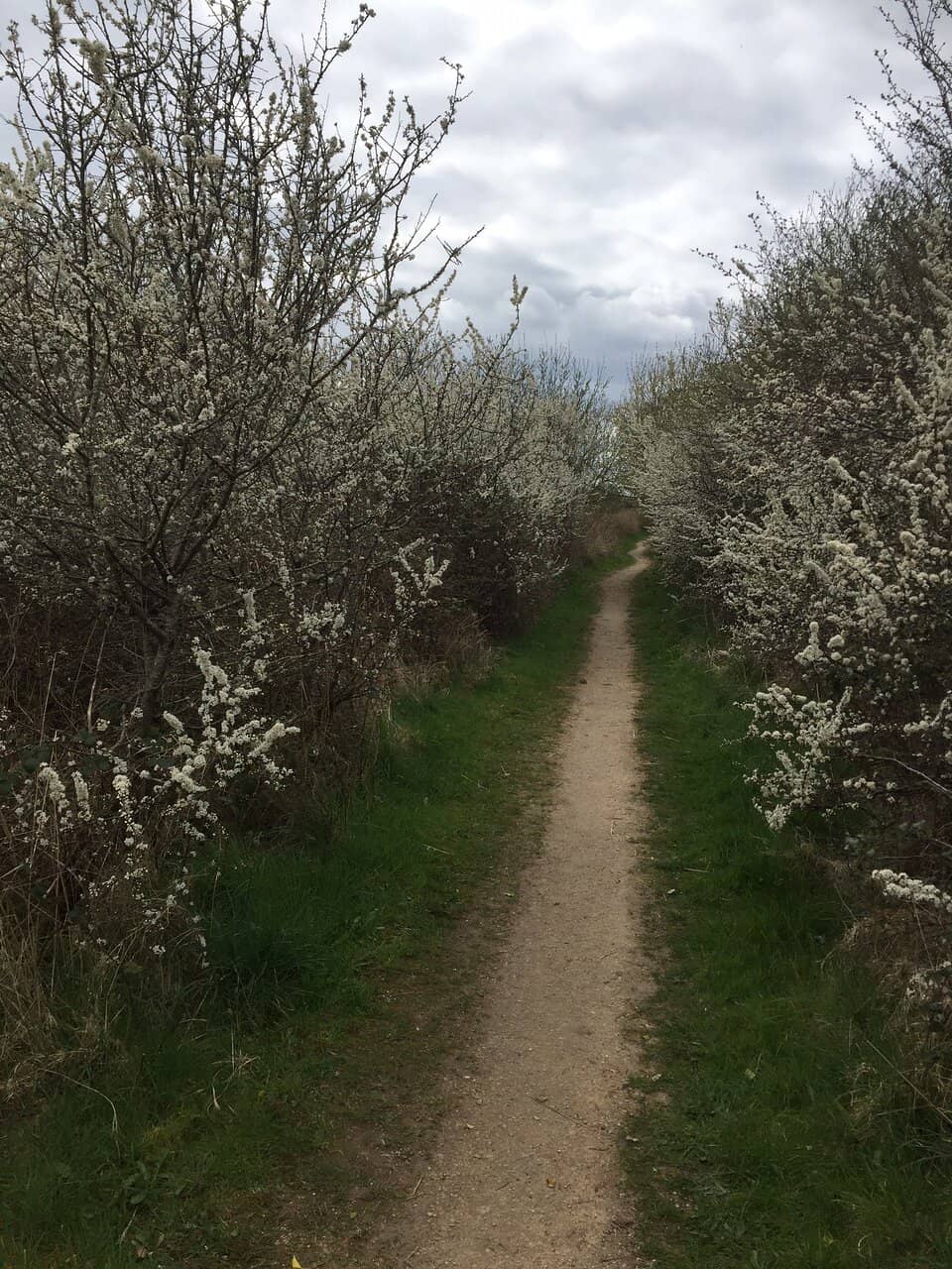 Spectacular Sunset Views