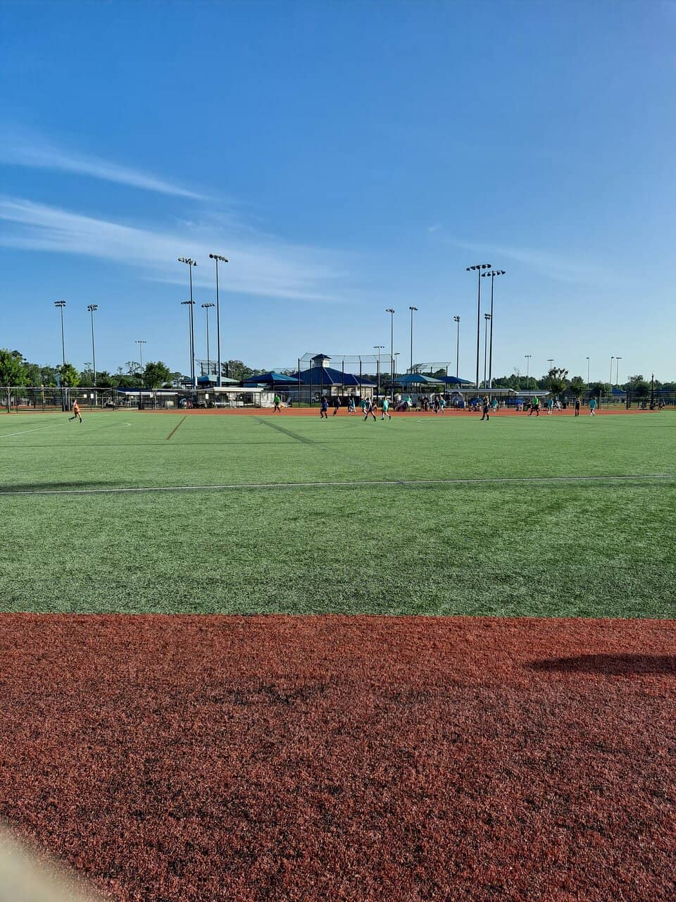Shark Park Playground