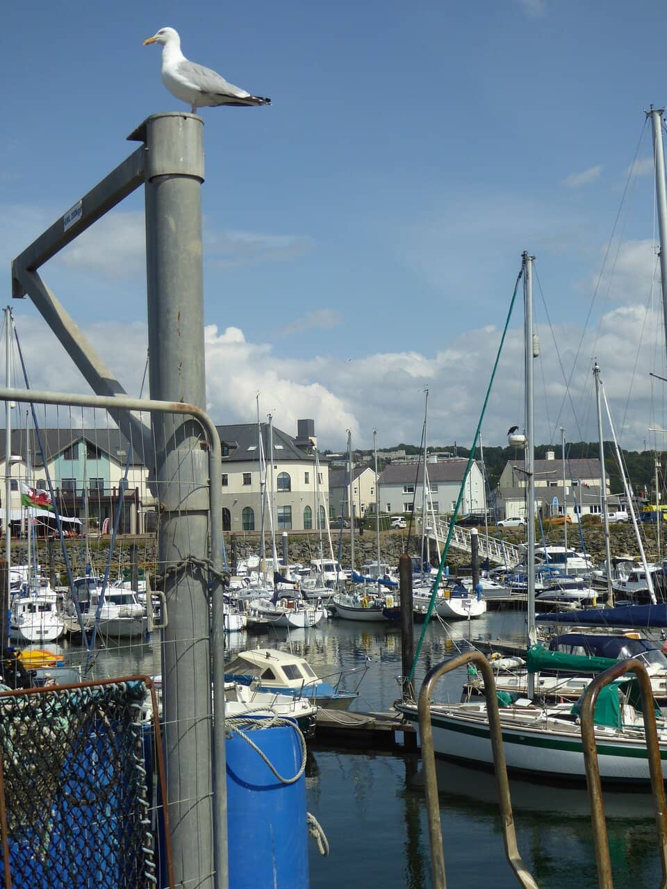 River Ystwyth Meets the Sea