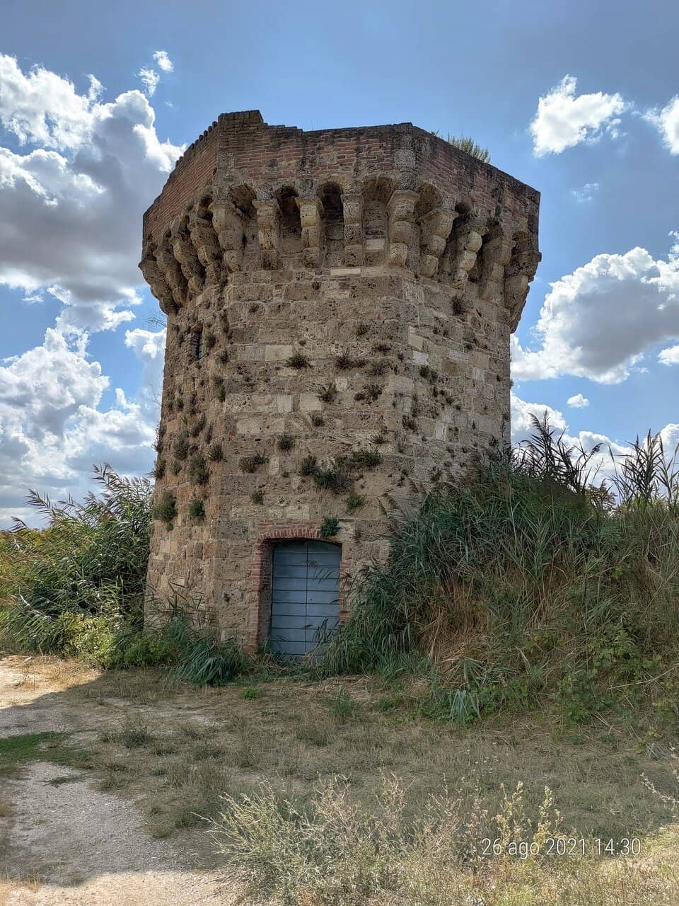 Vertical photo