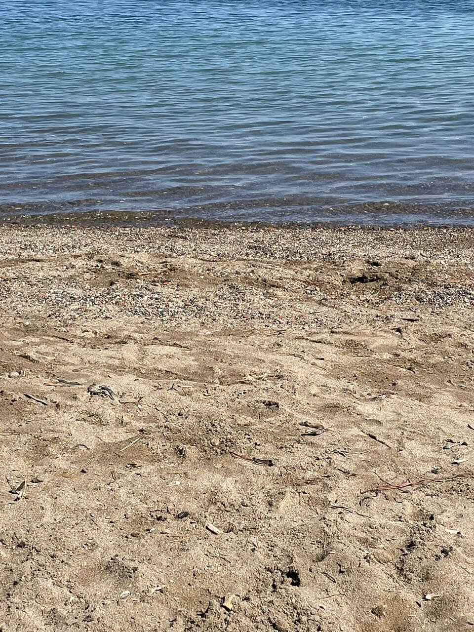 Crystal Clear Snorkeling Waters