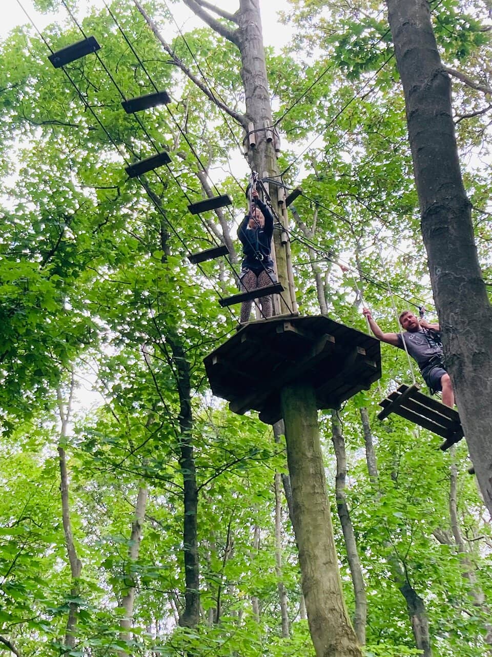 Zip Lines