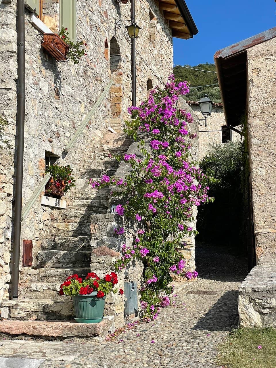 Vertical photo