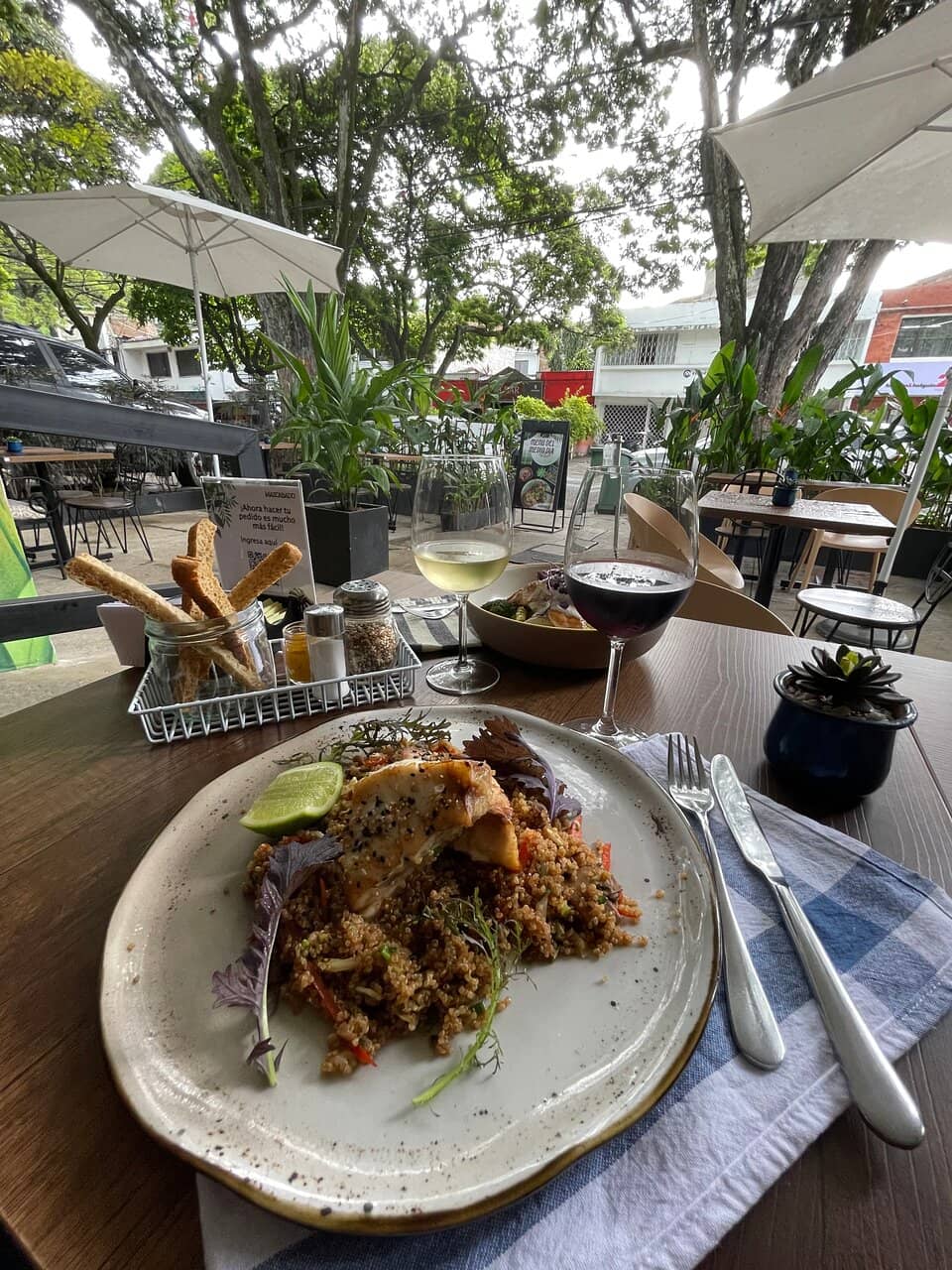 Diverse Vegan & Vegetarian Delights