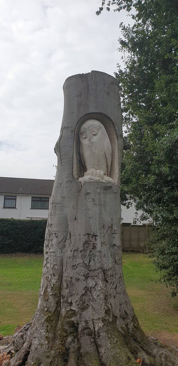 Children's Play Area