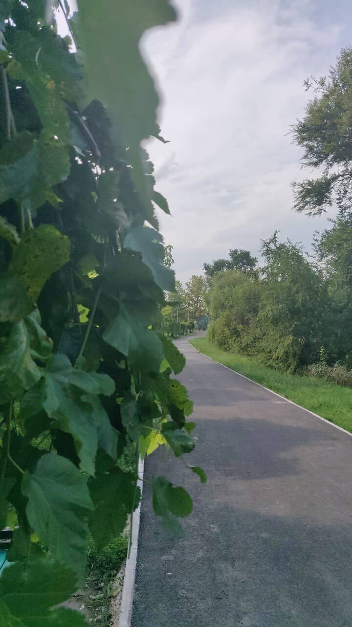 Vertical photo