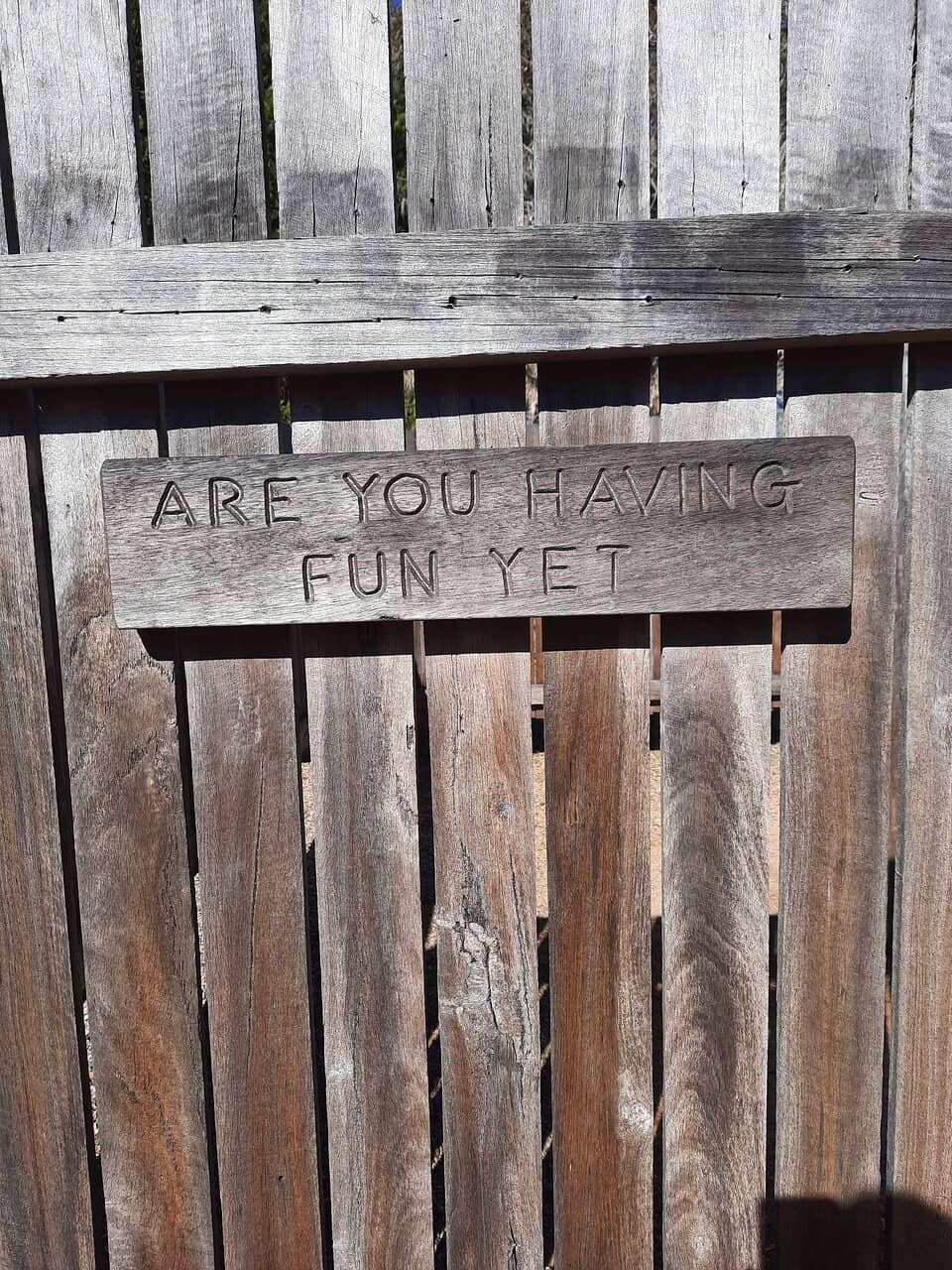 Comical Signage