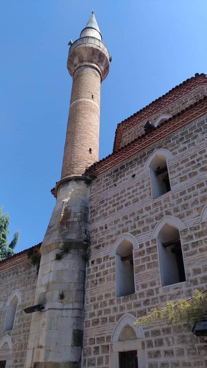Vertical photo
