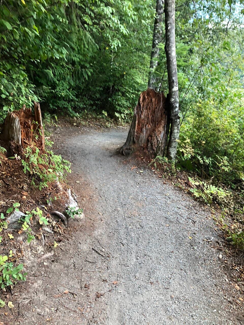 Paddleboarding Paradise
