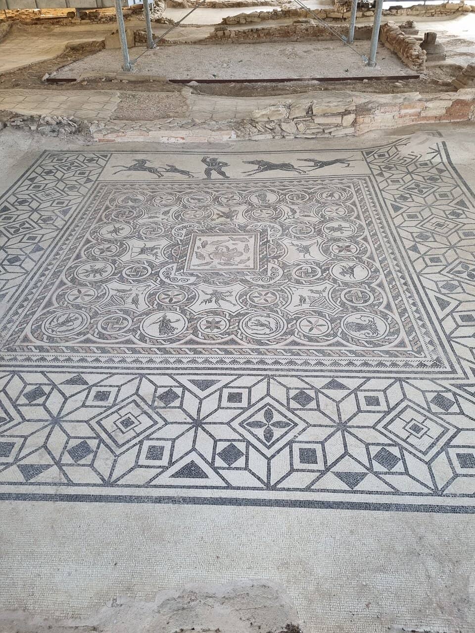 Volunteer Guide Insights