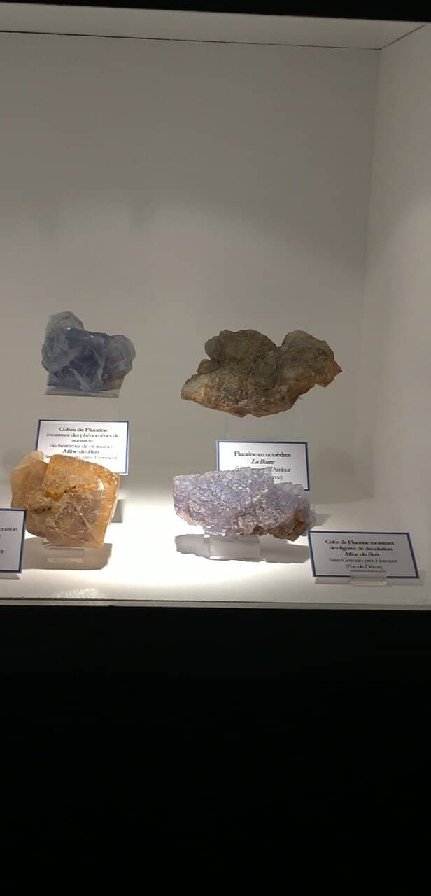 Fossil & Mineral Collections
