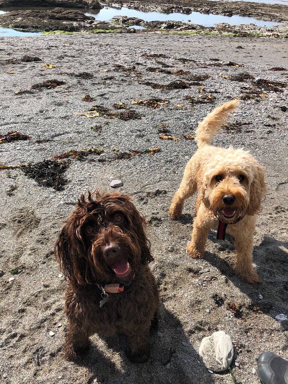 Coastal Walks
