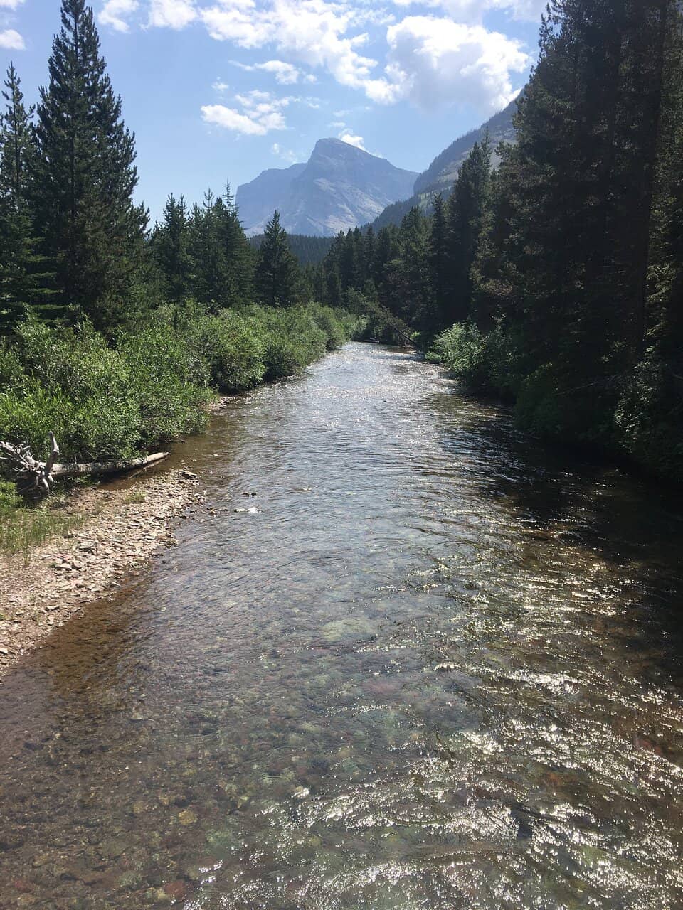 Reflective Waters