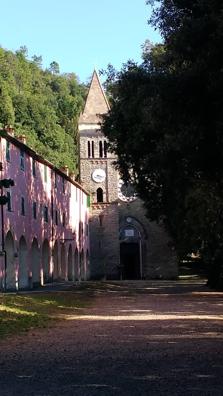 The Sanctuary's Ambiance