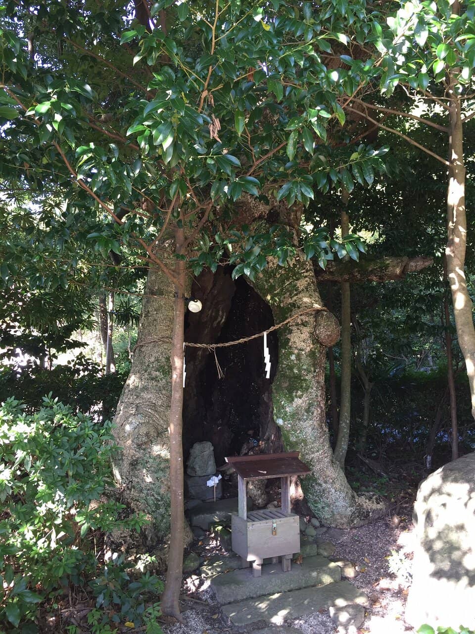 Sacred Tomb