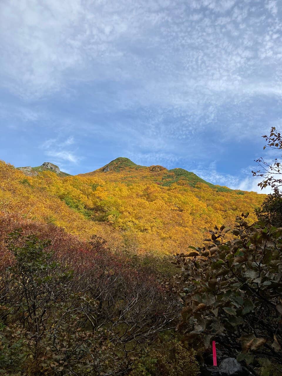 Summit Panorama