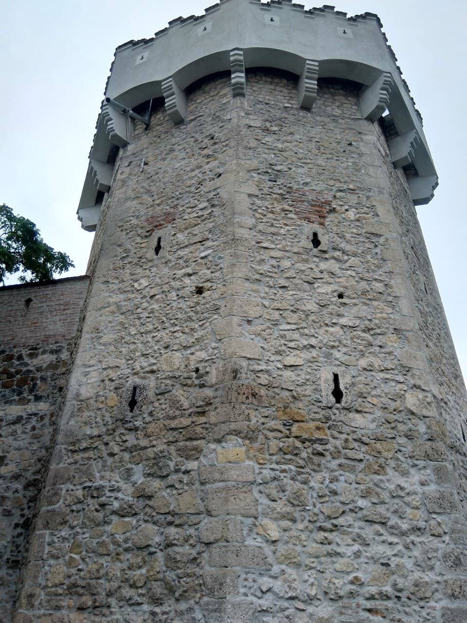 Vertical photo