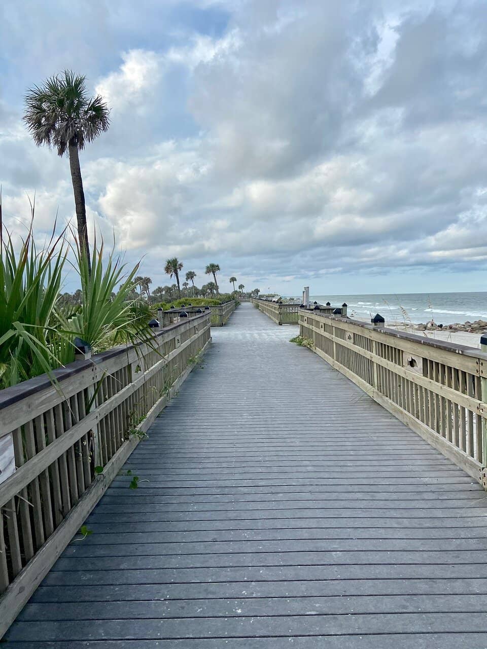 Unique Coquina Rock Formations
