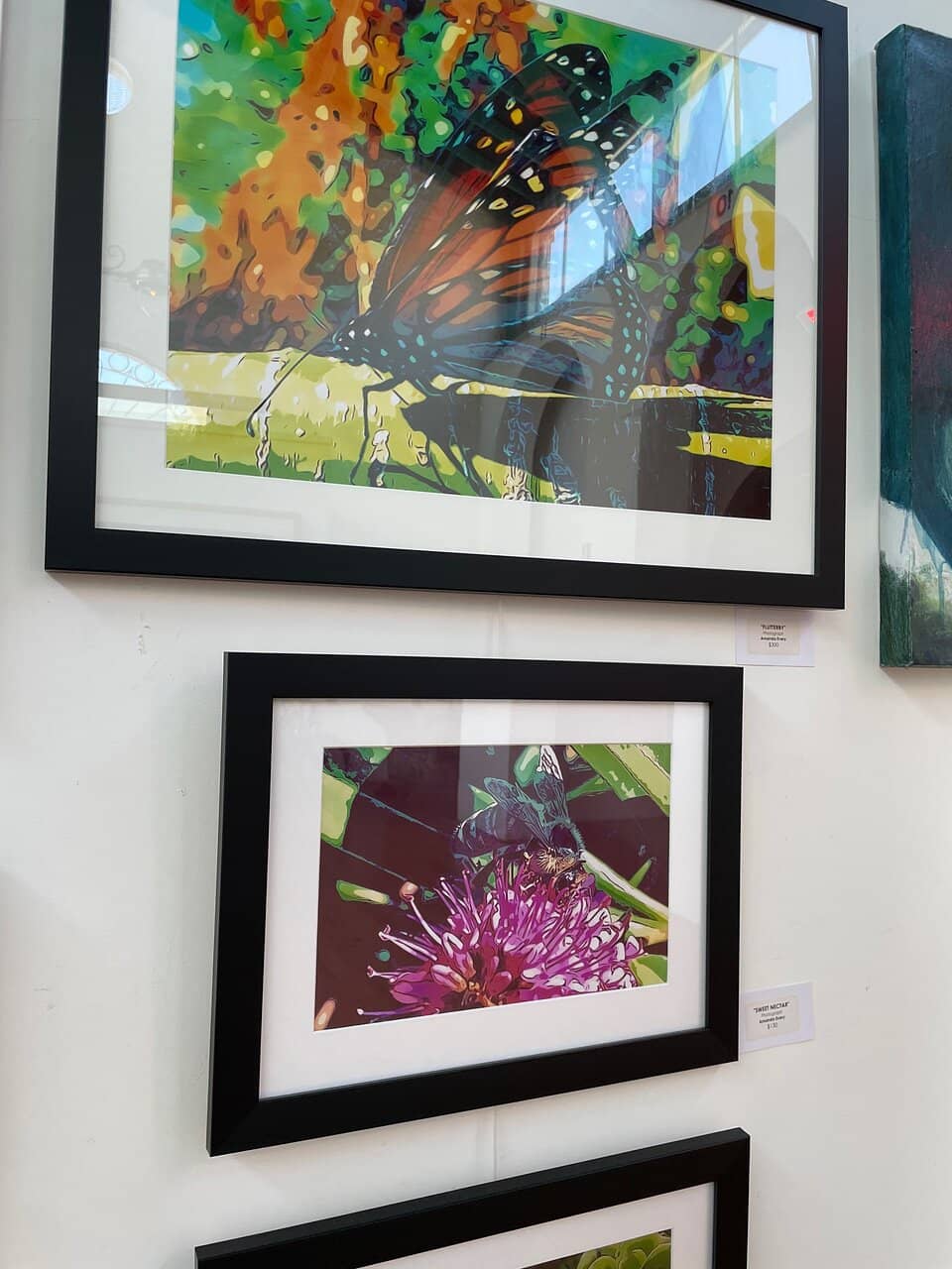 Indigenous Heritage Display