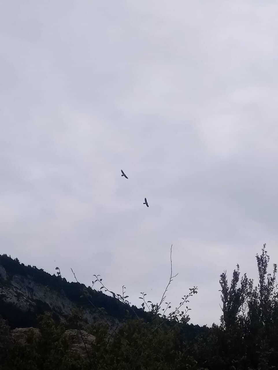Vertical photo