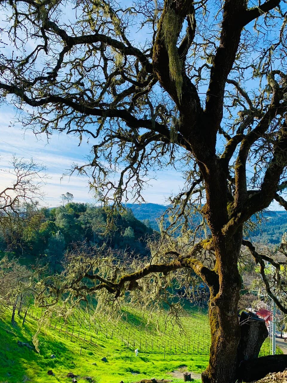 Rocky Upper Sections