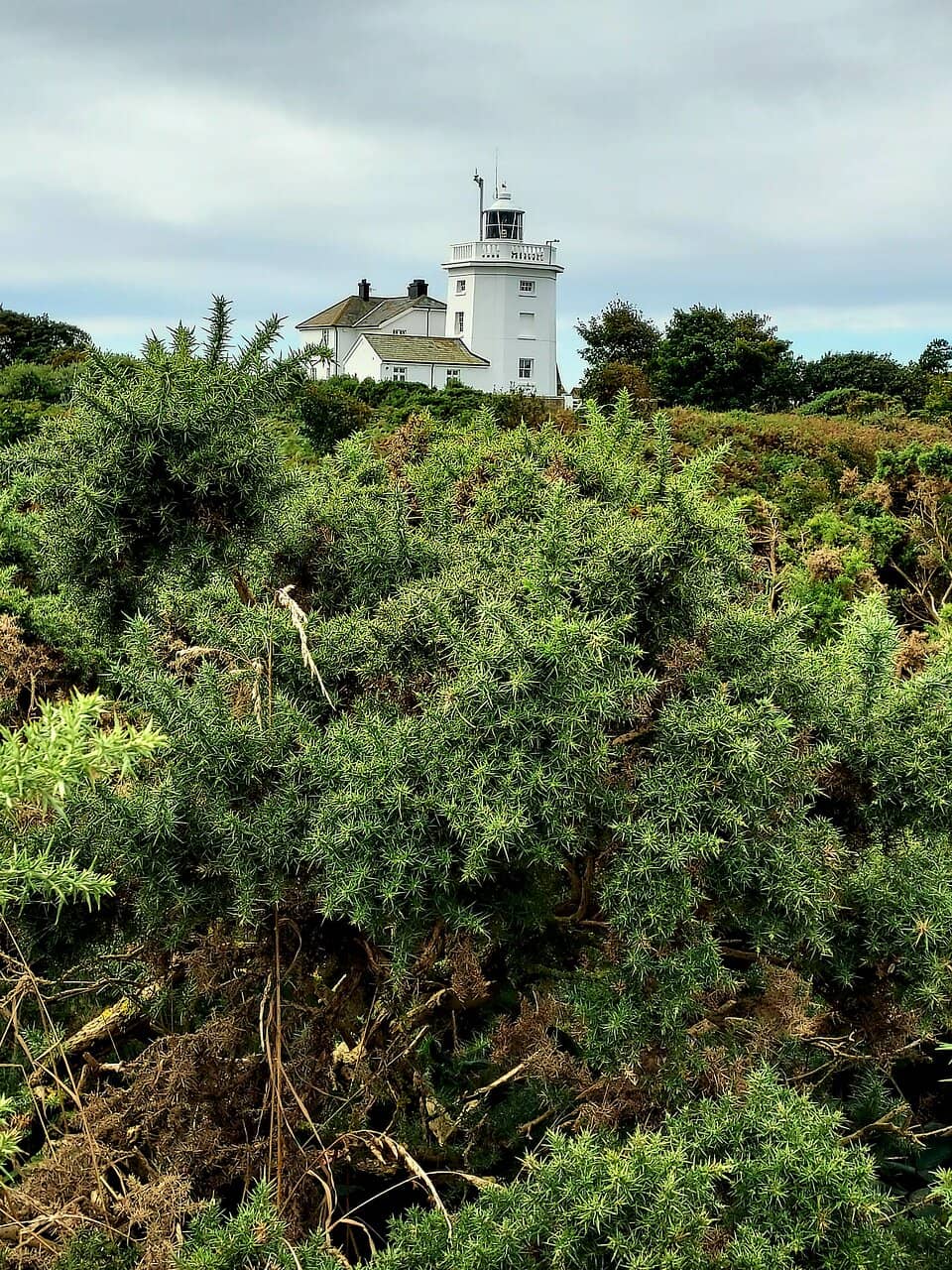 Coastal Path Walk