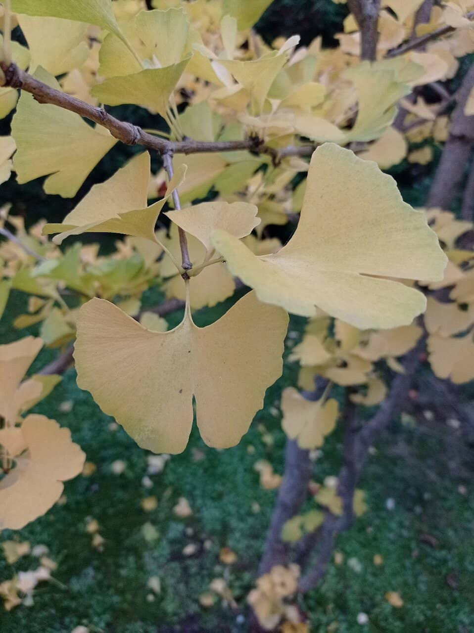 Highlights