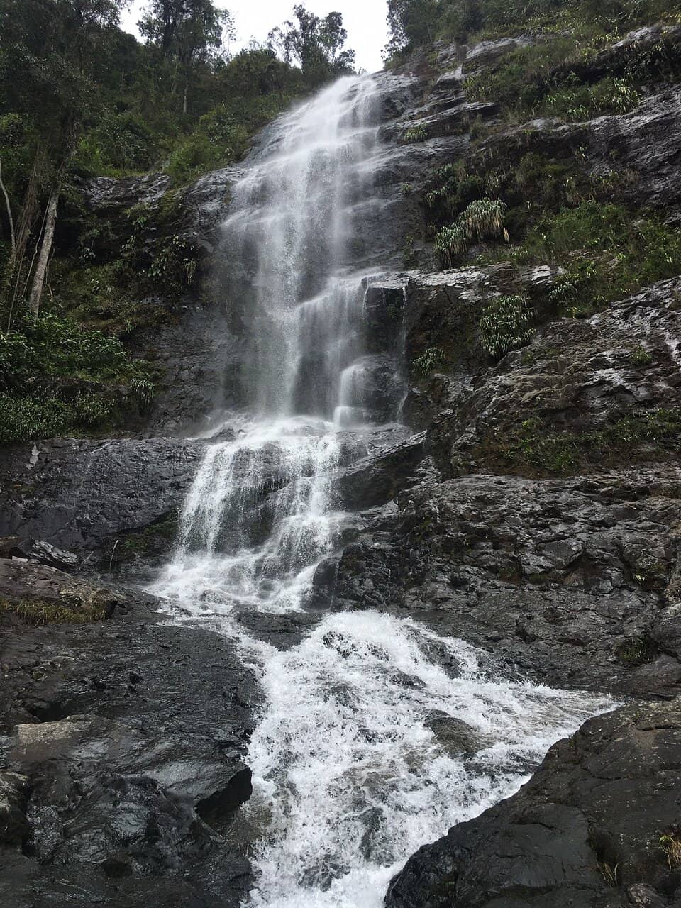 Biodiversity Hotspot