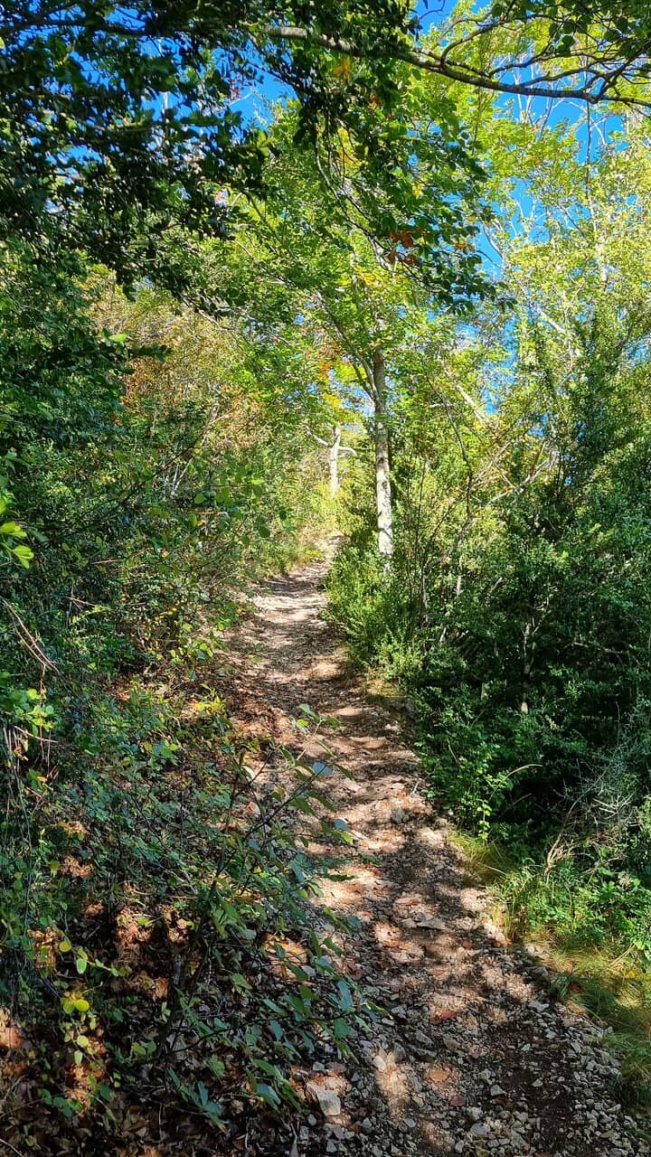 Birdwatching Hotspots