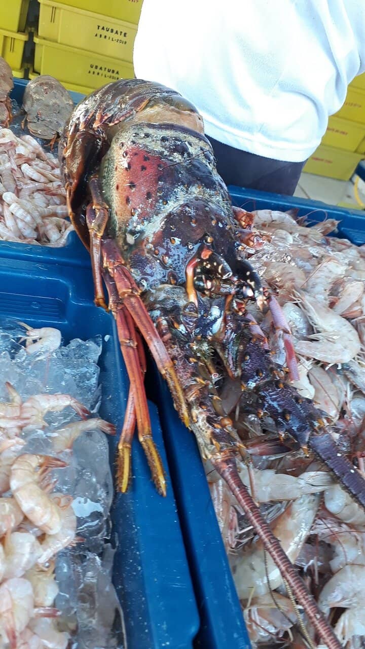 Seafood Delights