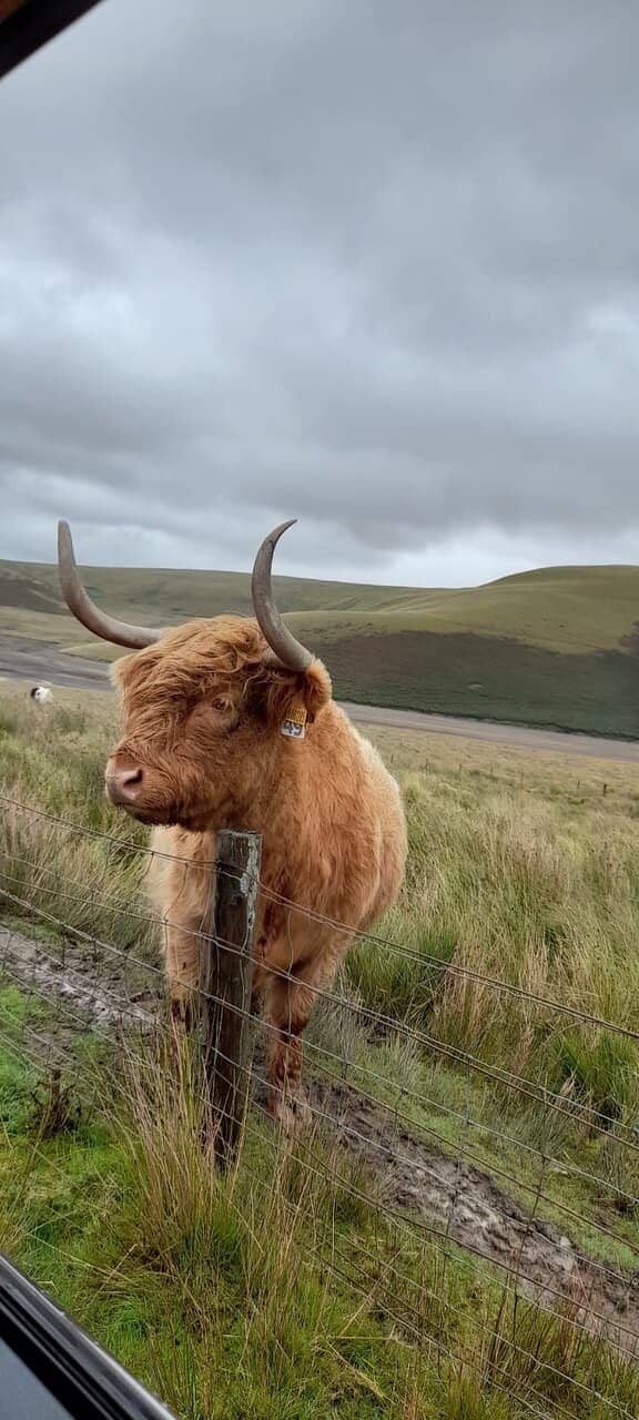 Walking and Driving Access