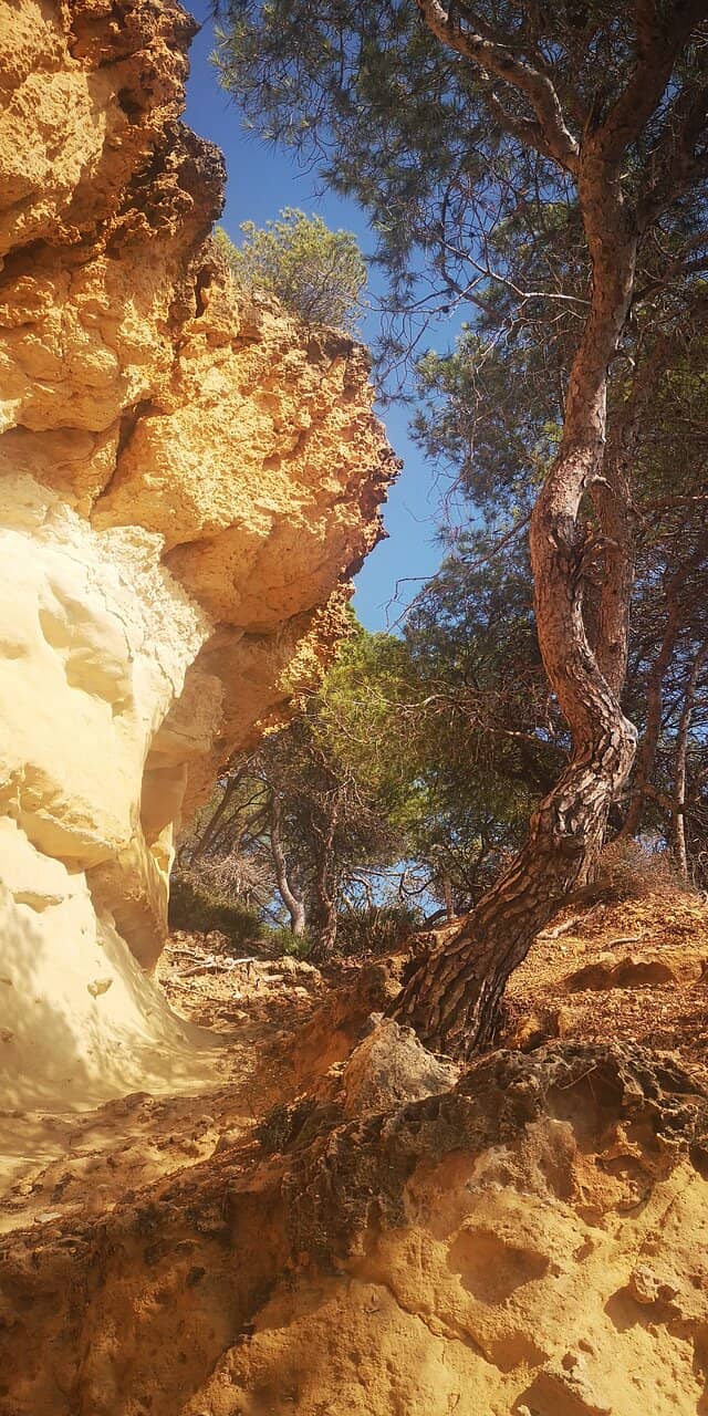 Secluded Cove Ambiance