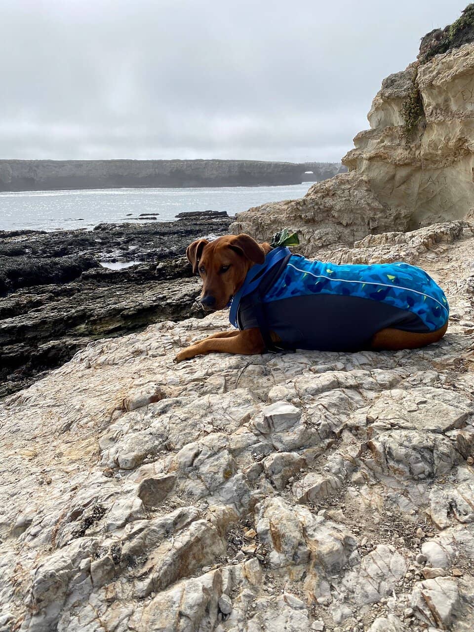 Historic Point Arena Lighthouse