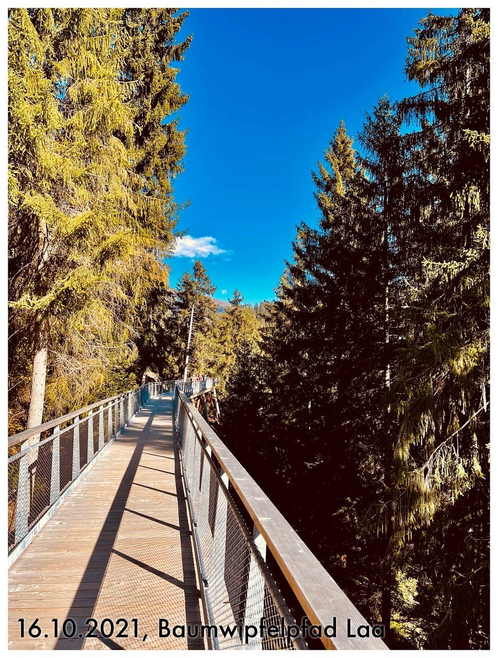 Vertical photo