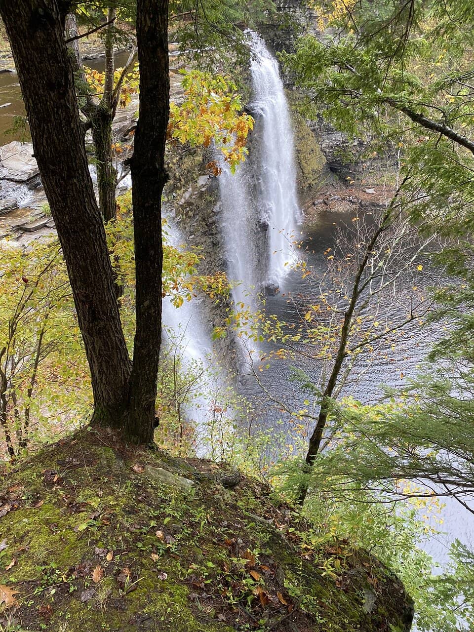 Scenic River Walk