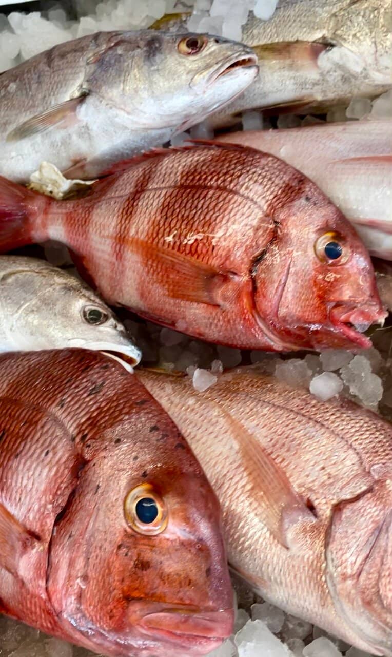 Highly-Rated Tuna Tartare